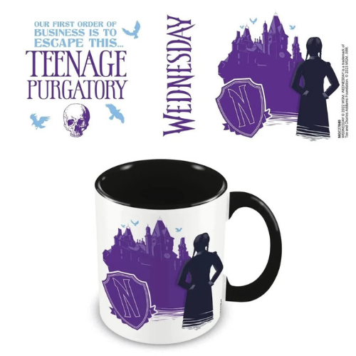 WEDNESDAY EVERYDAY MUG 11OZ CERAMIC TEENAGE IN PURGATORY