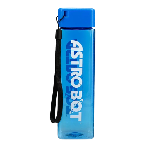 PLAYSTATION ASTROBOT WATER BOTTLE
