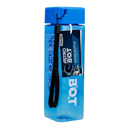 PLAYSTATION ASTROBOT WATER BOTTLE