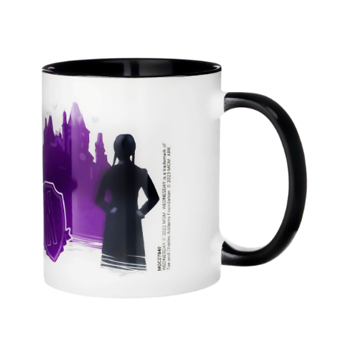 WEDNESDAY EVERYDAY MUG 11OZ CERAMIC TEENAGE IN PURGATORY